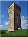 SK4943 : Swingate Water Tower from the east by Neil Theasby