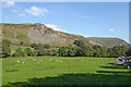 Pasture south-east of Llanddewi Brefi in Ceredigion