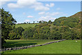 Pasture and woodland near Llanddewi Brefi in Ceredigion