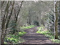 The course of the former Mill Hill East to Edgware railway line west of Devonshire Road