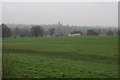 Verulamium Park on a wet day