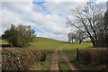 Track Climbing towards Holly Hill Rush