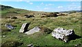 SO1116 : Pant Serthfa prehistoric stone row by Sandy Gerrard