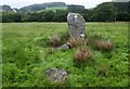 Capel Rhos prehistoric stone row