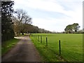 Driveway, Little Wain Wells