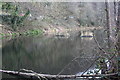 Artificial islands in disused canal, Newbridge