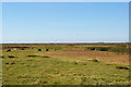 TM4249 : Orford Ness: view southwest across the marshes by Christopher Hilton