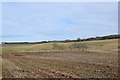 View over the fields just east of Auchnagatt