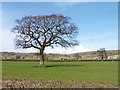 The Land Yeo Valley