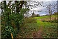 Cothelstone : Grassy Path