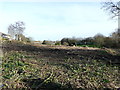 Grounds of Folkestone Sports Centre