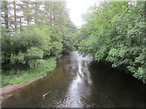 W2892 : The Finnow River near Drishane by Jonathan Thacker