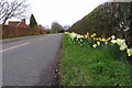 Springtime on Long Marston Road