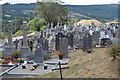 S7237 : St Mullins Cemetery by N Chadwick