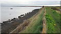 TM2323 : Kirby-le-Soken: Sea defence embankment and wall east of Peter's Point by Nigel Cox