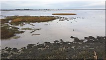 TM2323 : Kirby-le-Soken: The Wade, salt marsh and creeks north-east of Peter's Point by Nigel Cox