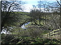 Wilden Beck, below Buck Hill