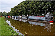 SJ9923 : Private moorings near Great Haywood in Staffordshire by Roger  D Kidd