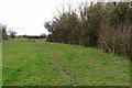 Footpath to Alnwick