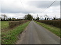 TM1297 : Hedge-lined Wattlefield Road approaching Chestnut Farm by Peter Wood