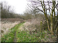 Footpath from Knabbs Hall Farm to Knabbs Lane, Silkstone Common