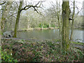 Blacker Dam fishing lake, Silkstone Common