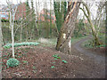 Footpath and snowdrops, Silkstone