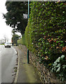 Sponsored lamp-post. Cawthorne