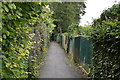 Footpath by the railway