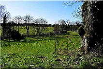 H5170 : An open field through a rusty gate, Derorar by Kenneth  Allen