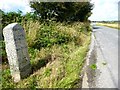 Old Milestone north of Yellow-wort