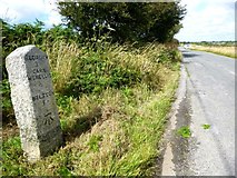 SW7036 : Old Milestone north of Yellow-wort by Rosy Hanns