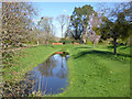 Old fish pond, abbey site, Chertsey