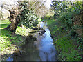 Moat, abbey site, Chertsey