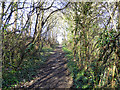 Path up A320 embankment