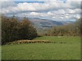 Conwy valley