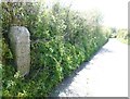 Old Milestone south west of Stithians