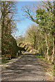 Wray Valley Trail approaching Caseley Cutting