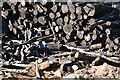 Logs at Charlton Sawmill