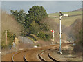 Semaphore signals east of Haydon Bridge station