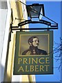 Prince Albert sign