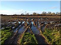 A muddy field near Mickle Trafford