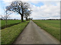 Broom Road heading towards Broom Cottages