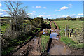 Muddy entrance to field, Curr