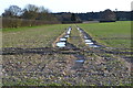 SU8107 : Tractor tracks in field near East Ashling by David Martin
