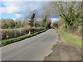 Diss Road and Old Hall Bridge crossing the River Tas