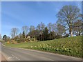 Lenton Firs Rock Garden