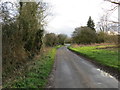 Marsh Lane approaching its junction with Bury Road (A143)