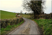 H4074 : Bends along Millbrae Road by Kenneth  Allen