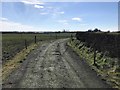 Farm Track near Tutbury